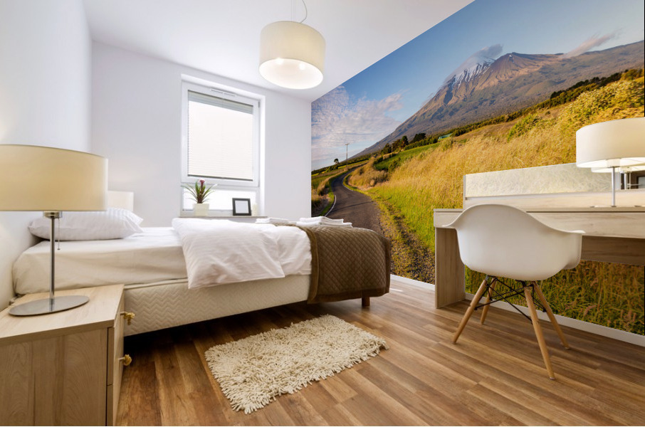 Mount Taranaki Mural print