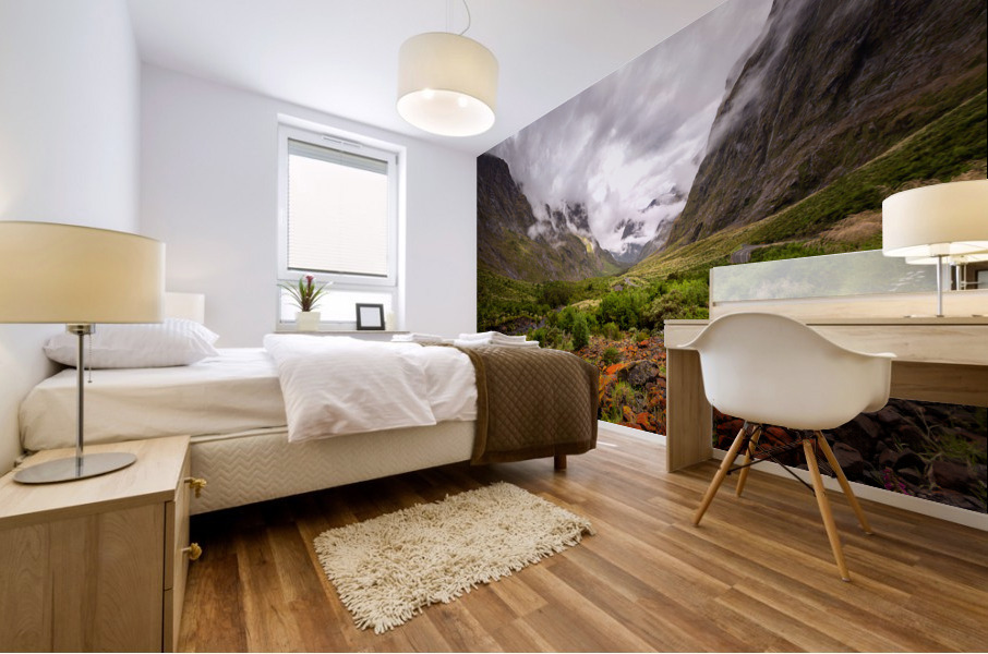 Fiordland Valley Mural print