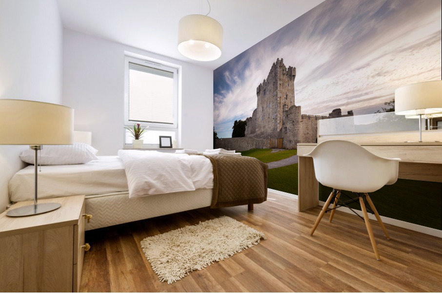 Ross Castle Killarney  Mural print