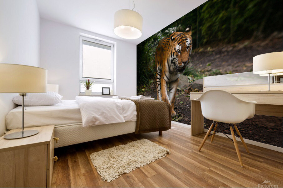 Asian Tiger Mural print