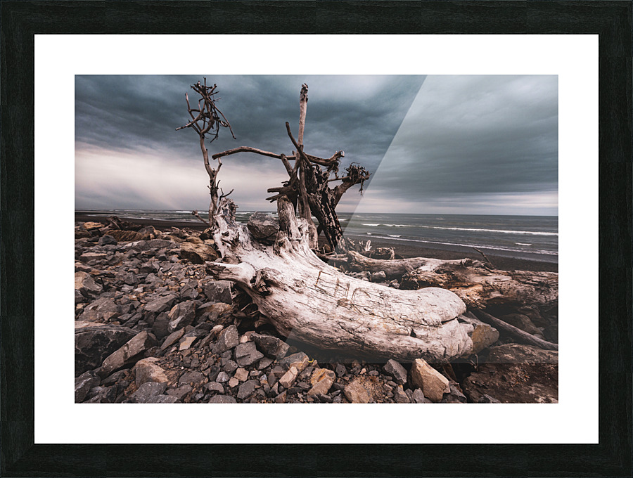 Driftwood Picture Frame print