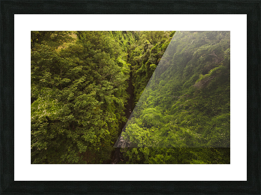 Treetops Picture Frame print