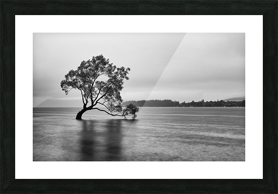 Wanaka Stranded Tree Picture Frame print