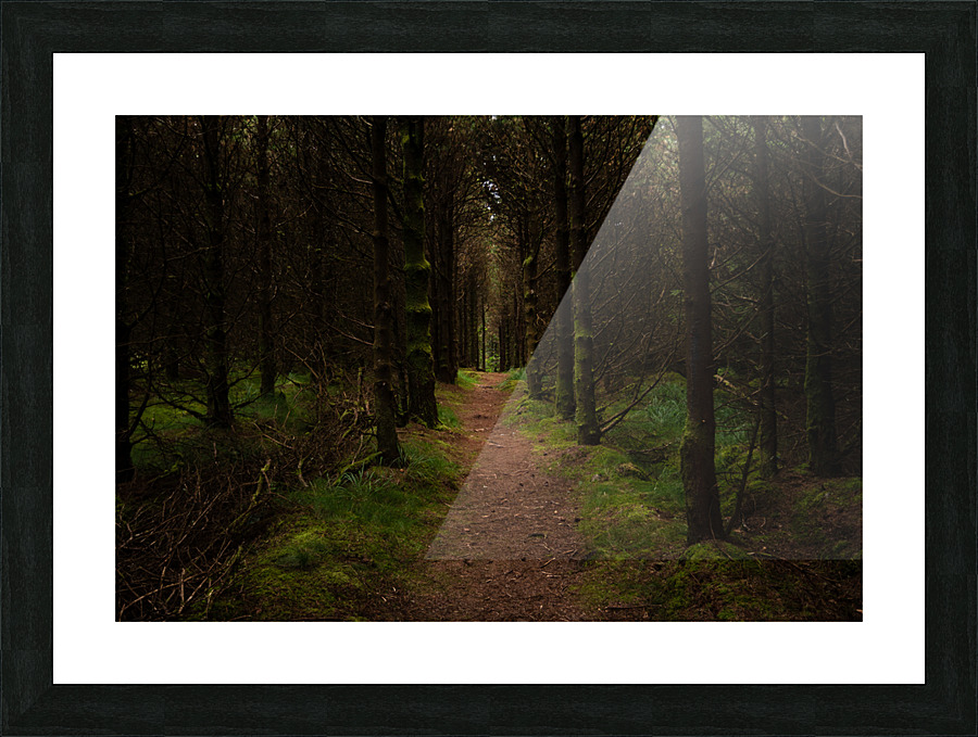 Inviting Forest Picture Frame print