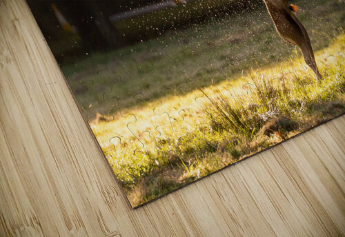Deer Shower Timmy Keane puzzle