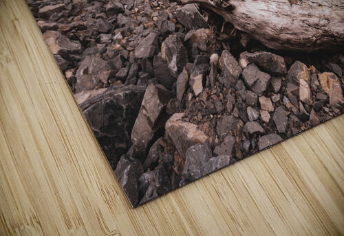 Driftwood Timmy Keane puzzle