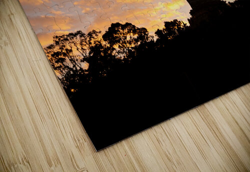 Buddaha Dreams Timmy Keane puzzle