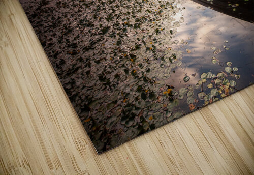 Killarney Lakes  Timmy Keane puzzle