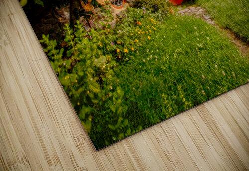 Hobbiton  Timmy Keane puzzle