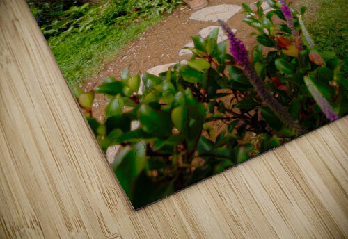 Hobbiton  Timmy Keane puzzle