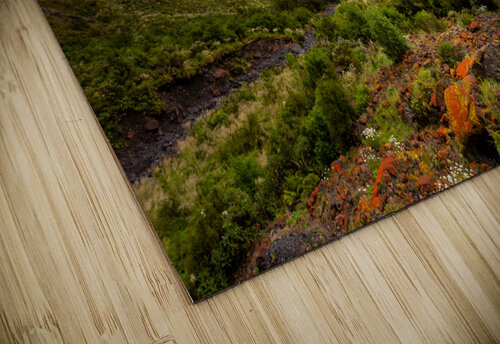 Fiordland Valley Timmy Keane puzzle