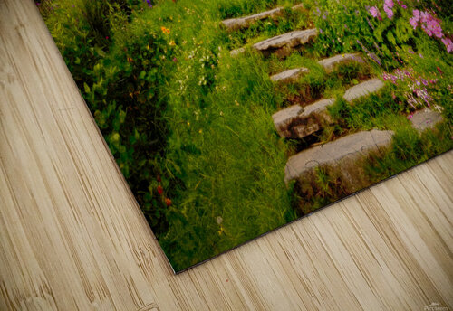 Hobbiton  Timmy Keane puzzle