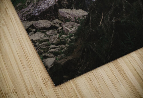 Powerscourt Waterfall Timmy Keane puzzle