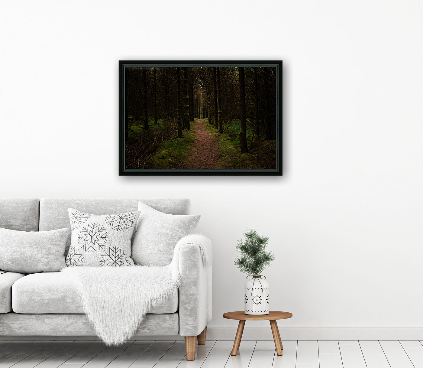 Inviting Forest Reproduction