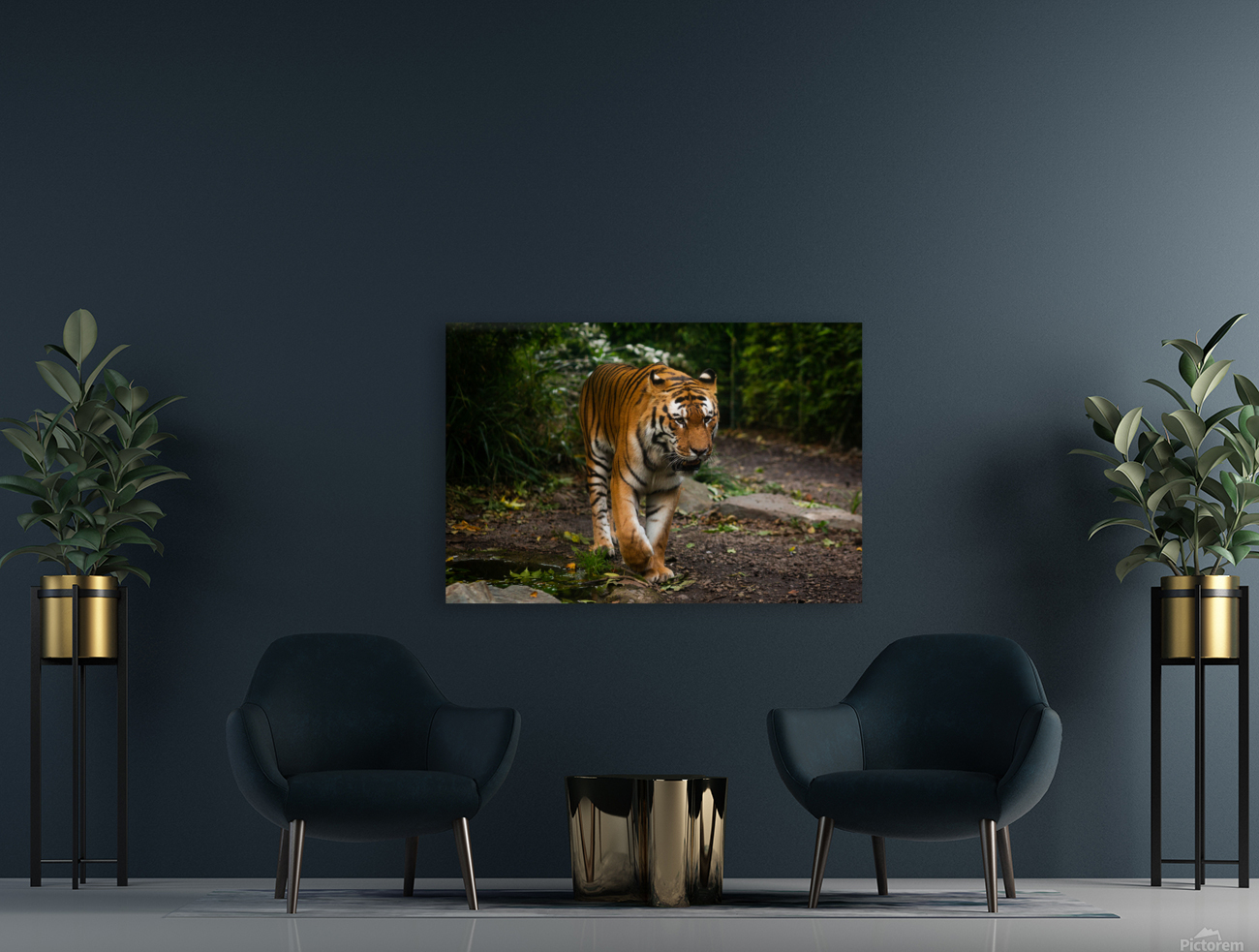 Asian Tiger Reproduction