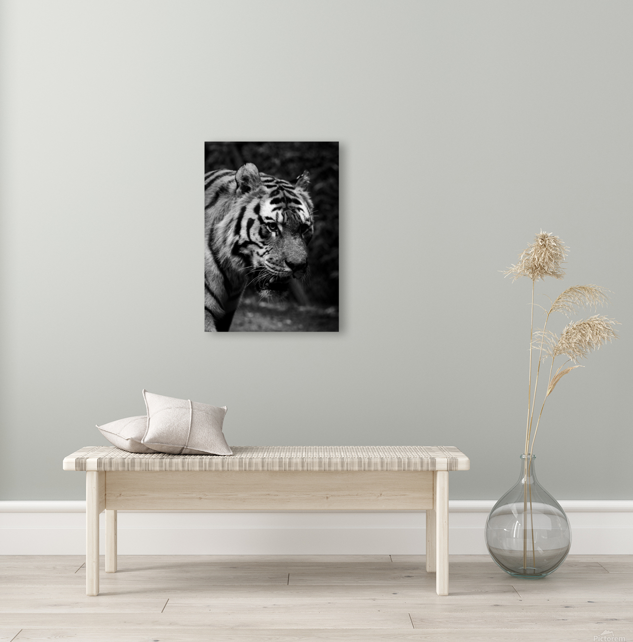 Asian Tiger Reproduction