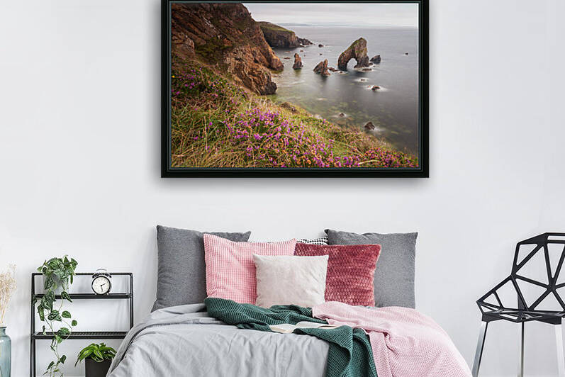 Crohy Head  Donegal  Reproduction