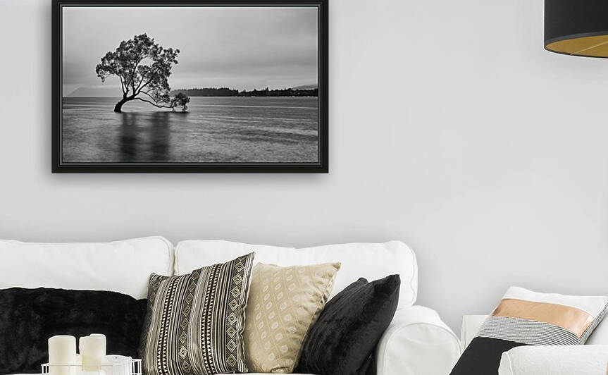 Wanaka Stranded Tree by Timmy Keane