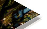 Dark Forest HD Metal print