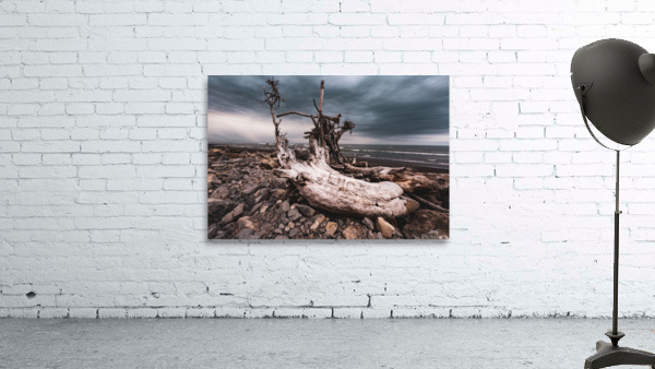 Driftwood Wall Preview