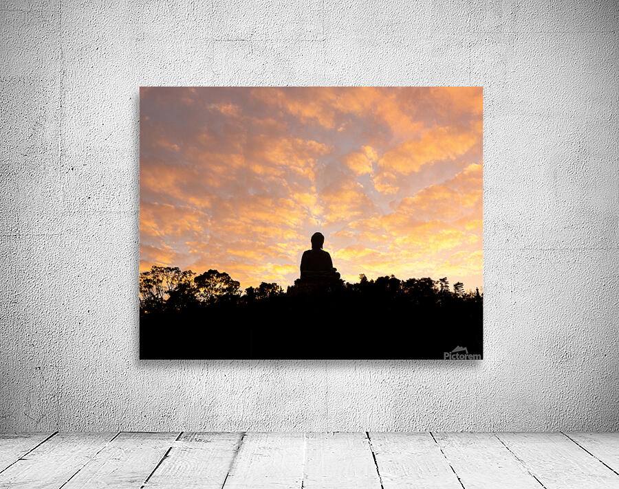 Buddaha Dreams Wall Preview