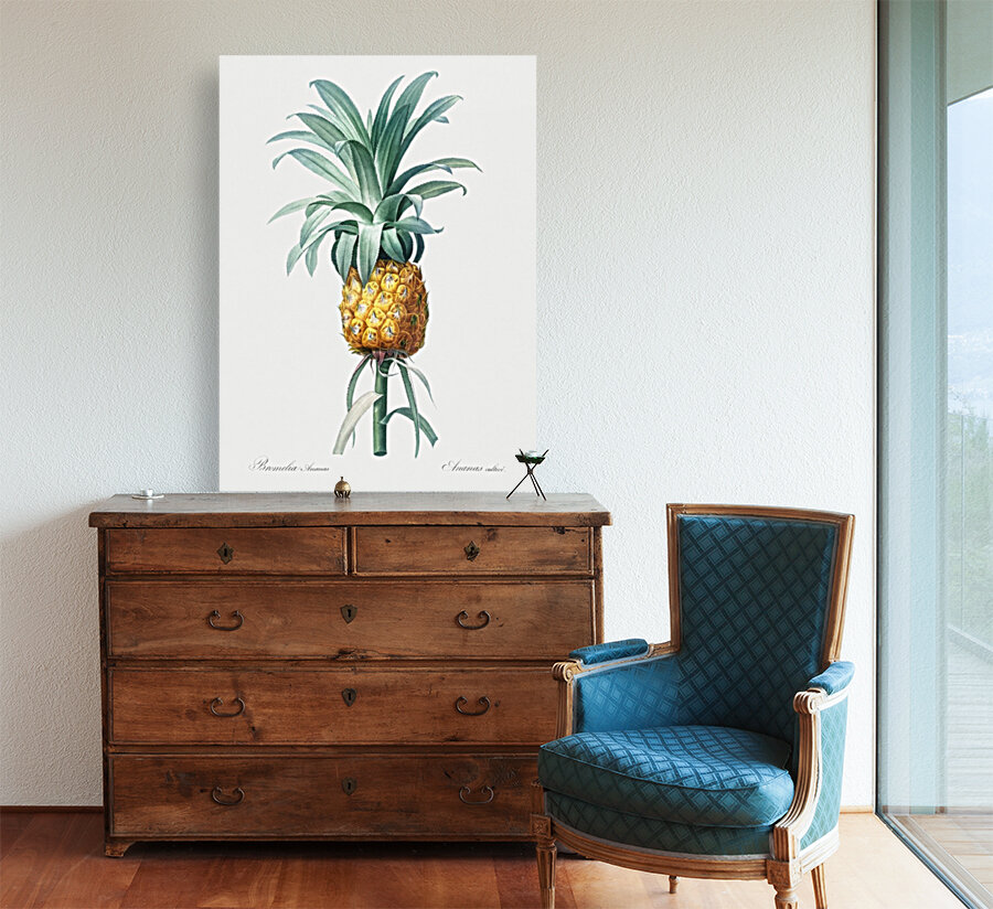 Pineapple Illustration 1805 Reproduction