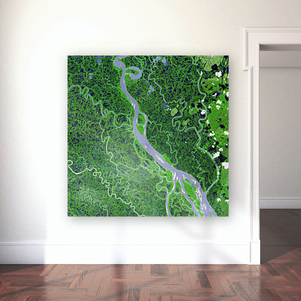 Mackenzie River Reproduction