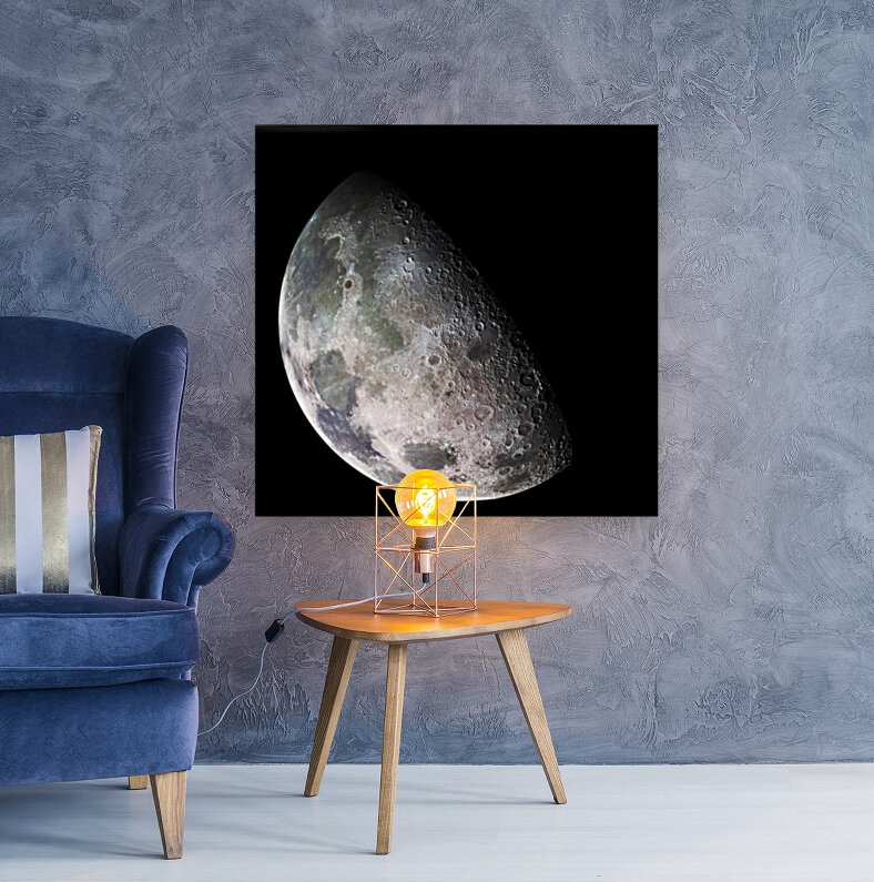 Moon Reproduction