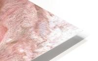 Pink Jupiter HD Metal print