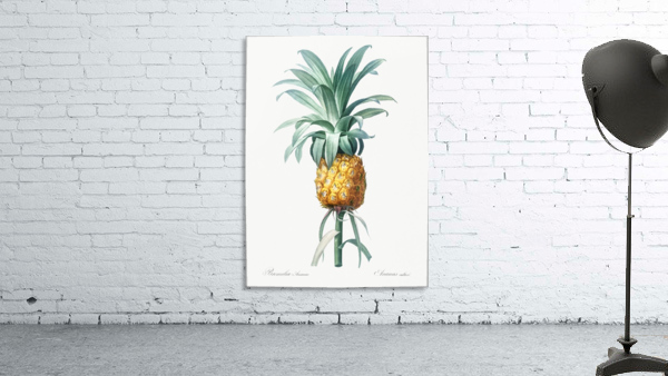 Pineapple Illustration 1805 Wall Preview
