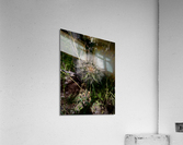 The trapogon Acrylic Print