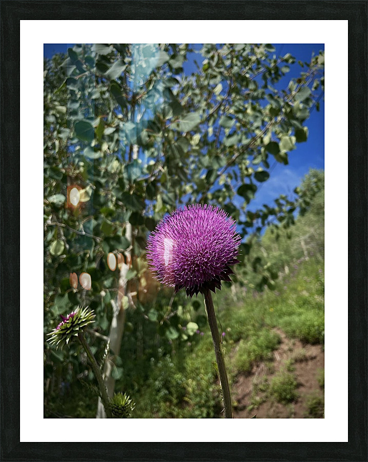 Wild flower Picture Frame print