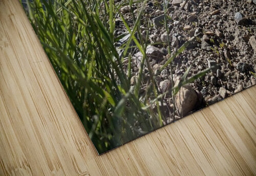 Mountain tops Alden puzzle
