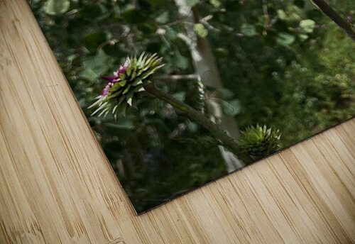 Wild flower Alden puzzle