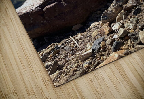 Rocky Mountains Alden puzzle