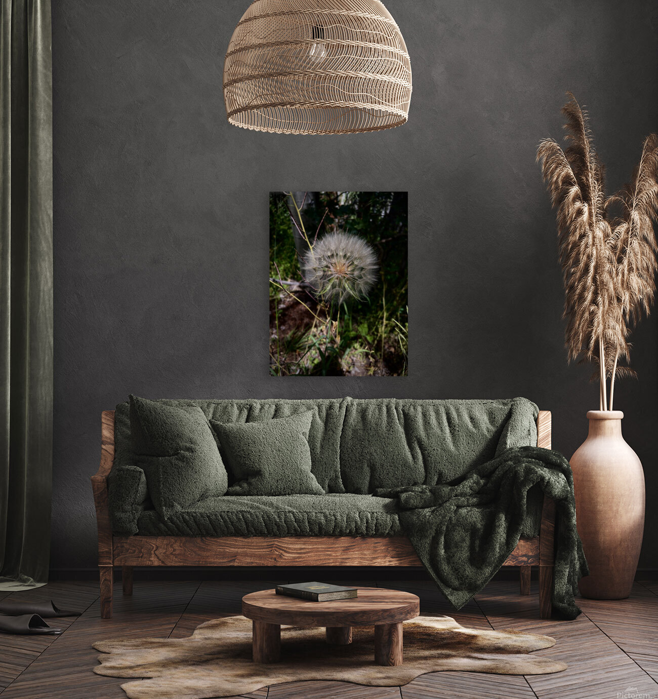 The trapogon Reproduction
