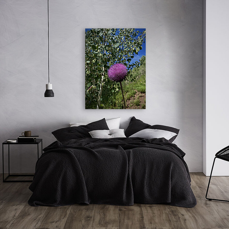 Wild flower Reproduction