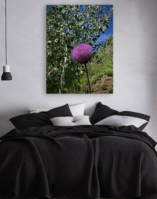 Wild flower Reproduction