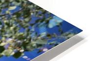 Wild flower HD Metal print