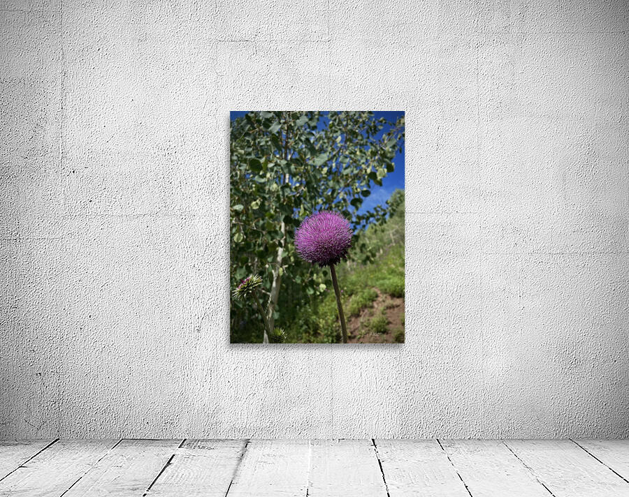Wild flower Wall Preview