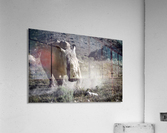 Rhino Acrylic Print