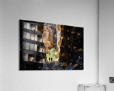 Among the Giants Acrylic Print
