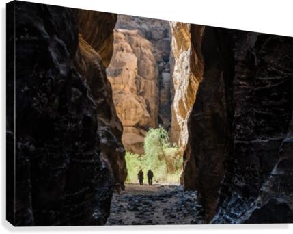 Among the Giants Canvas Print