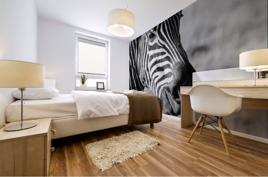 Zebra Stripes Mural print