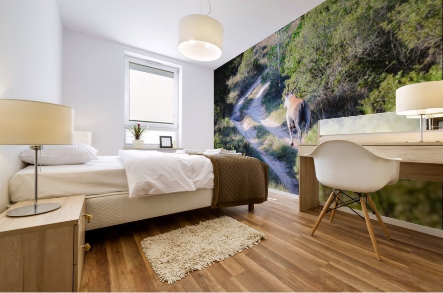 A Deer on the Path Mural print