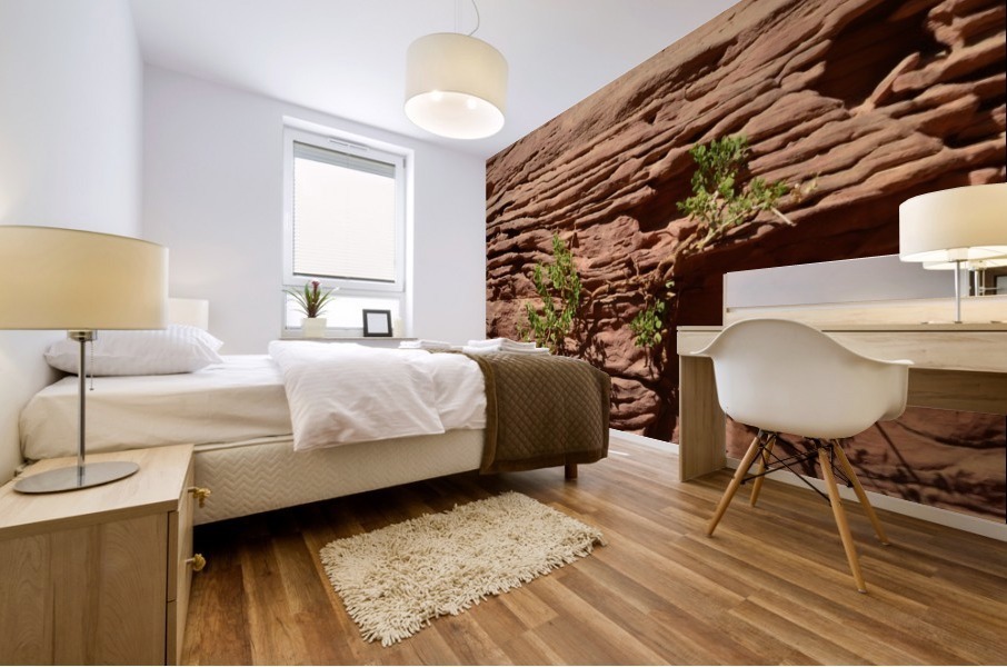 Life After Death Mural print