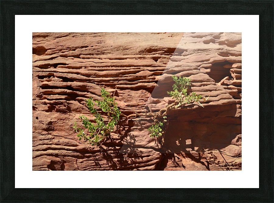 Life After Death Picture Frame print