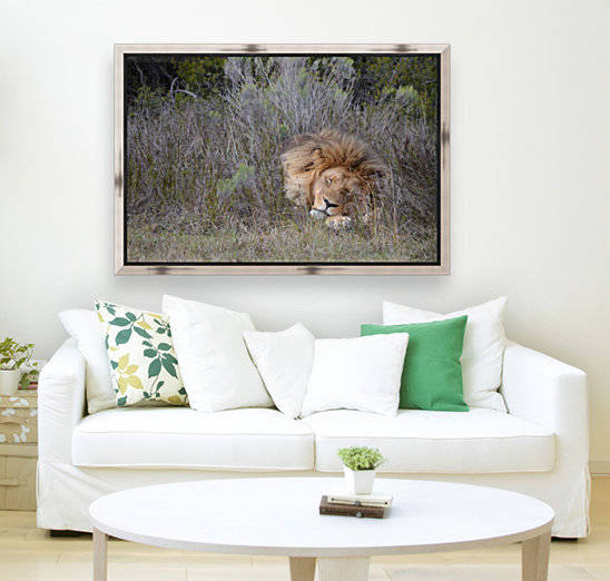 The Lion Sleeps Tonight by Creative Chronicles