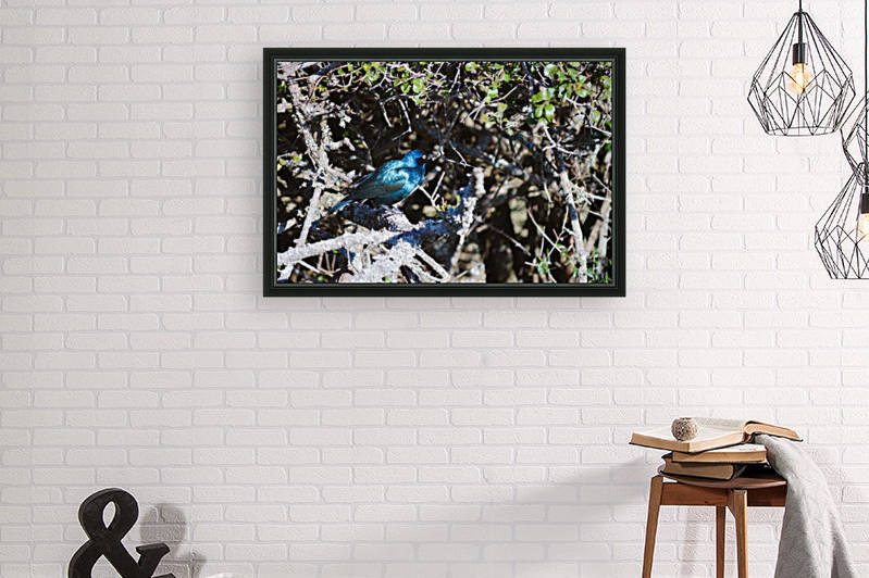 Blue Reflective Bird by Creative Chronicles
