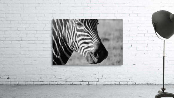 Zebra Stripes Wall Preview